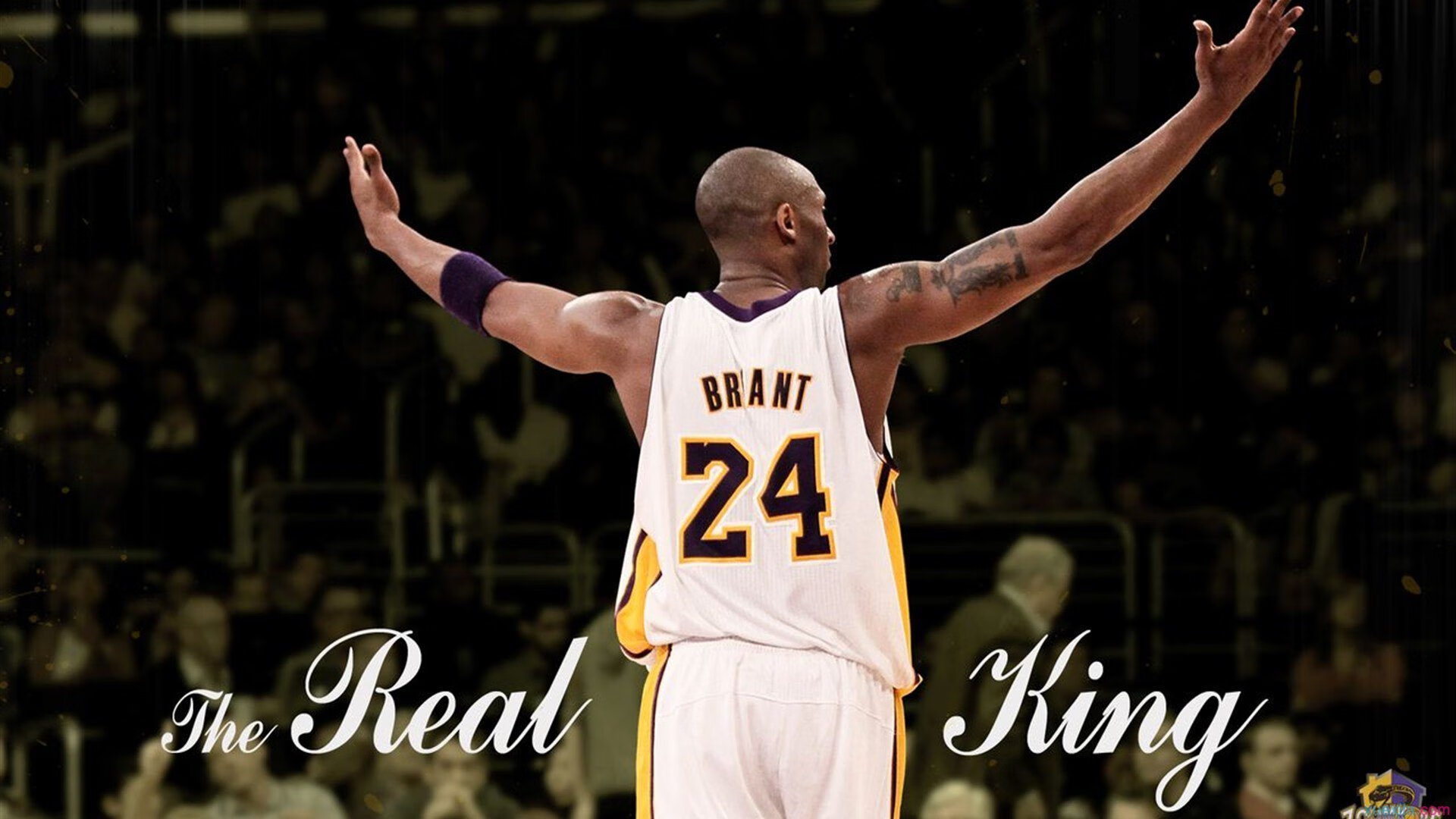 山西龙狮关键战役中展现超强韧性完成绝杀，龙狮历史